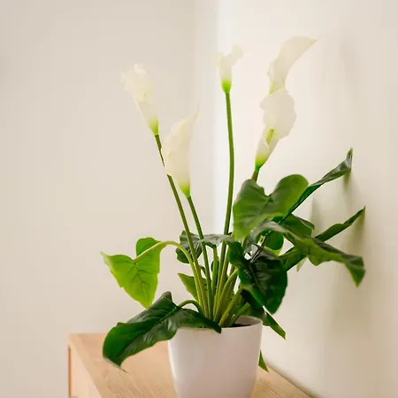 民宿 F8-3 Bedroom For 2 斯利马