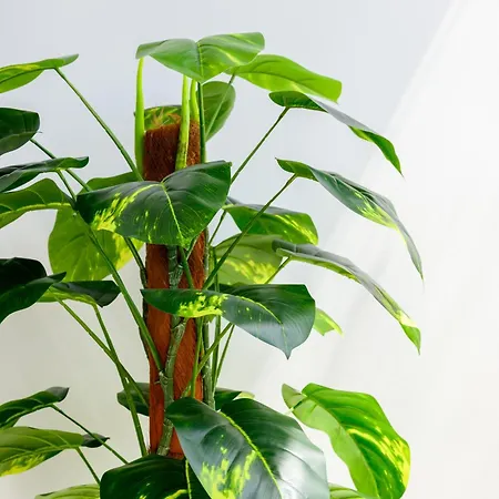 民宿 F8-3 Bedroom For 2