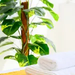 Accommodatie bij particulieren F8-3 Bedroom For 2