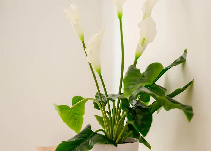 Δωμάτια σε οικογενειακή κατοικία F8-3 Bedroom For 2 Σλιέμα