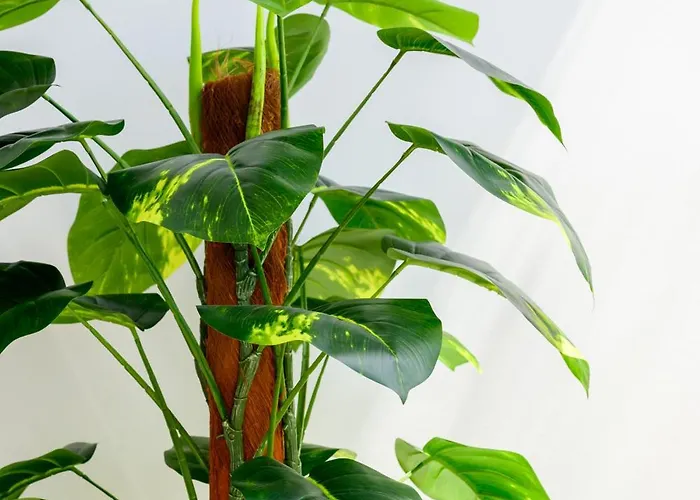 Δωμάτια σε οικογενειακή κατοικία F8-3 Bedroom For 2